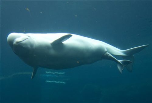 Muhteşem Doğumdan Muhteşem Kareler