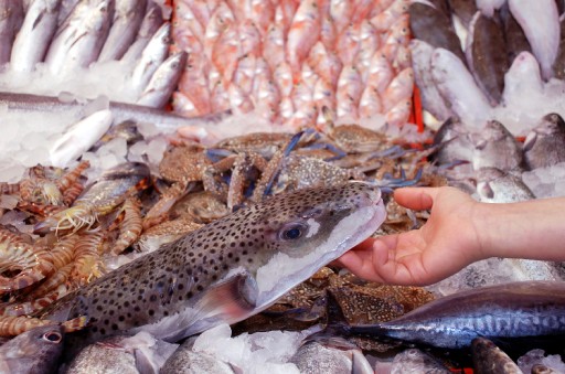 Balık Tezgahlarında Tehlikeli Balık