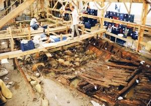 Batık gemideki cevizler taze çıktı