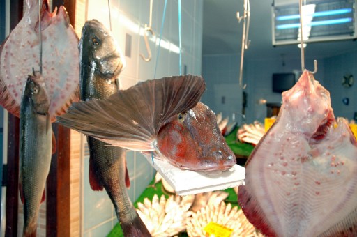 Balıkçı Tezgahları Şenlendi