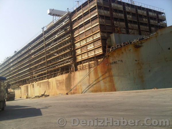 Mersin&#039;e 14 bin büyükbaş hayvan geldi