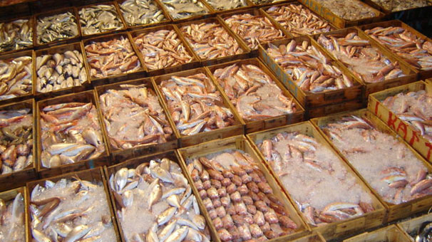 "Arz Ve Talep Dengesi ayarlanmalı "