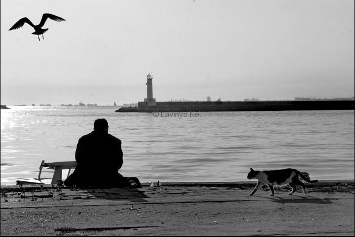 &quot;Limanda Hep Gemiler Olurdu&quot;