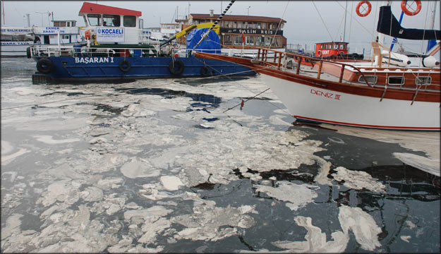 Beyaz tabakanın sırrı çözüldü