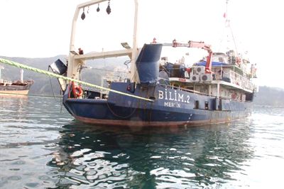 ODTÜ Karadeniz'de Hamsi Balığı Bulamadı