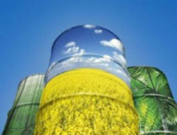 Biyoyakıt aç bırakacak