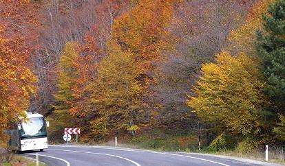 Sonbaharın Rengârenk Tuvalinde Batı Karadeniz
