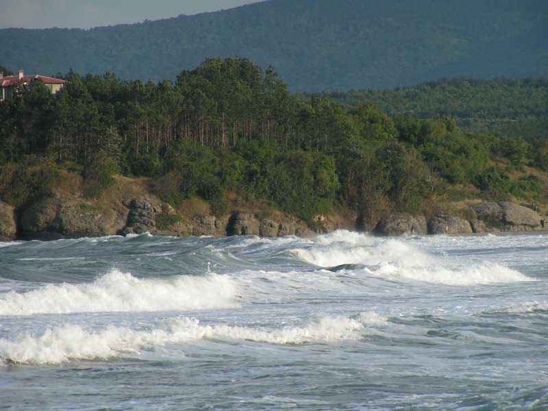 Karadeniz&#039;de Yaşam Alanı 100 Metreye Kadar Düştü