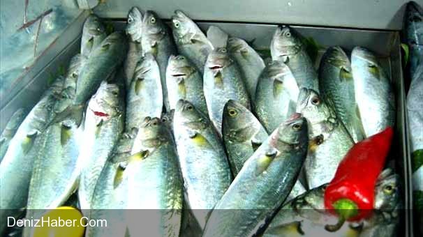 ‘Gündoğdu - 1&#039; 10 Bin Lüferle Döndü