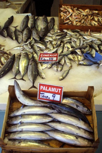 Palamudun Tanesi 9 YTL&#039;ye Yükseldi