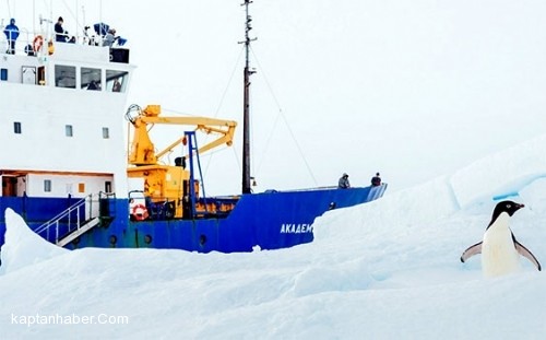 Grönland Buzulunda 120 Bin Yıldır Hayatta Kaldı.