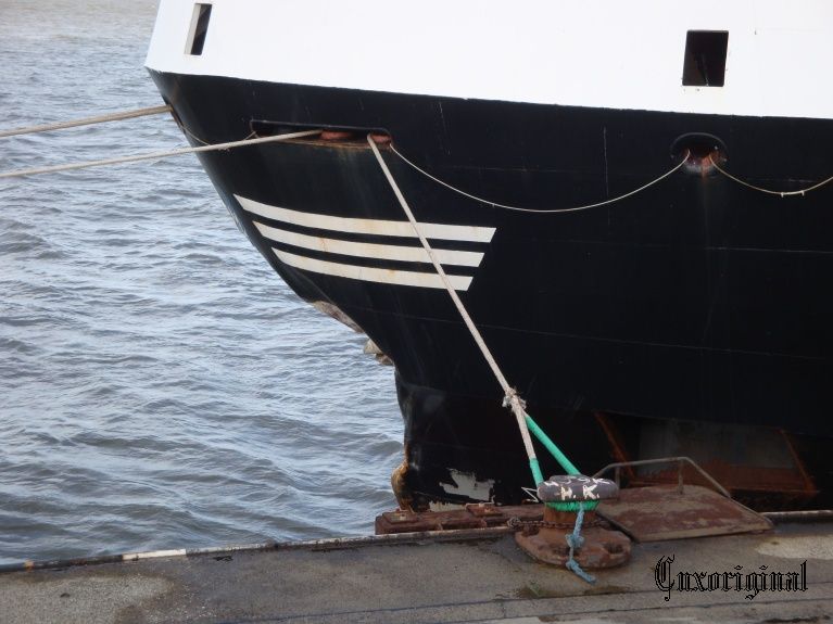 Fionia Swan Yola Çıktı