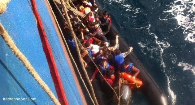 Denizdeki &quot;can pazarı&quot; kameralara yansıdı