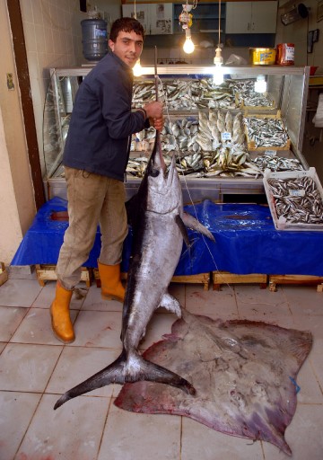 Çanakkale Balıkçıları Sevindirdi