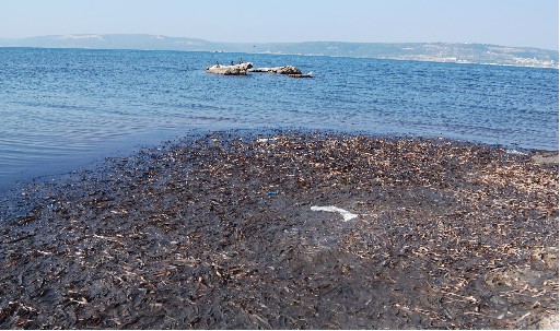 Çanakkale'de Deniz Suyu 10 m. Çekildi