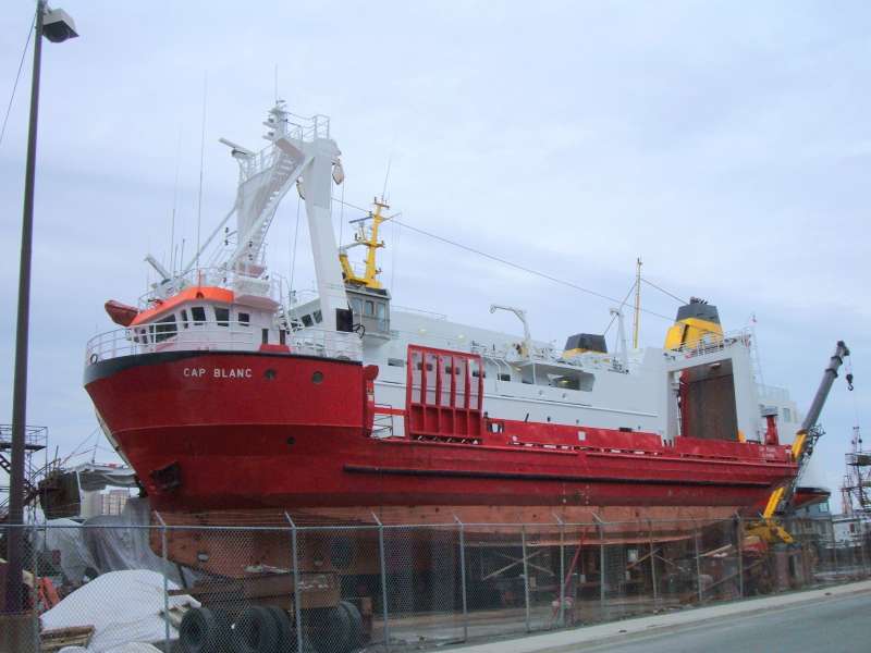 Yük Gemisi Kanada'da Battı