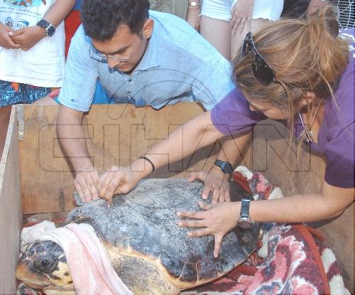 5 Caretta-Carettaya GPS Takıldı