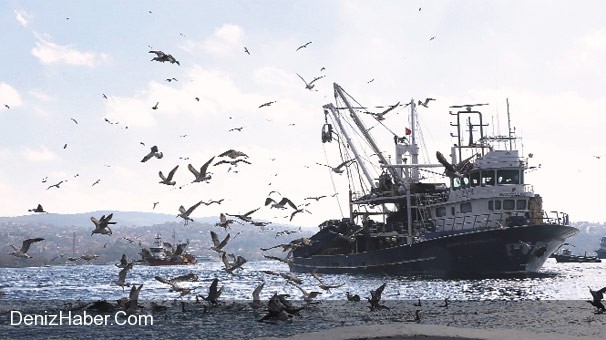 Av Mevsimi Fırtına İle Başlıyor