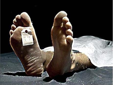 Filistinlilerin Organlarını Almışlar!