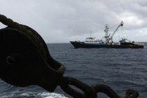 Korsanlar Pakistan gemisini serbest bıraktı