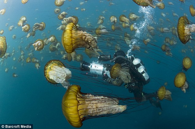 Bu Film 75 Milyon Dolara Mal Oldu