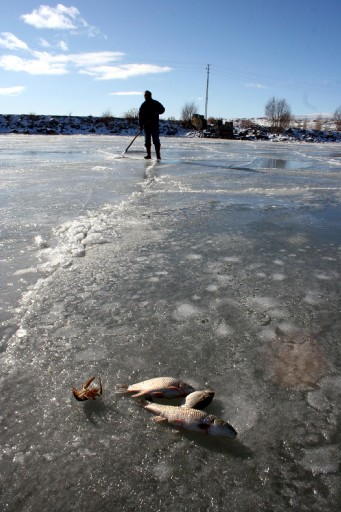 Çıldır Gölü&#039;nde Buzların Arasında Balık Avı