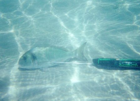 Kardak&#039;ta Sezon Kapandı