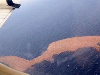 Bu Ada ABD&#039;nin Kabusu Oldu