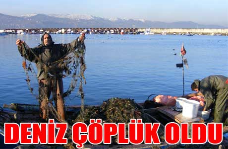 Faroz&#039;da Deniz Çöplüğe Döndü