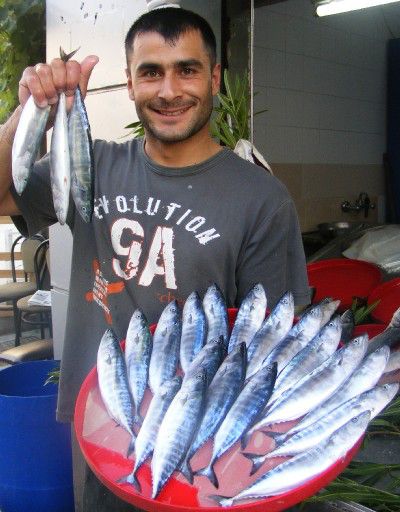 Bir Gecede 300 Kasa Palamut