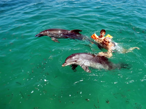 Romanya Başbakanı Bodrum'da Yunuslarla