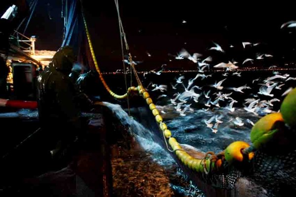 İşte balıkçıların dalgalı ve sessiz dünyaları