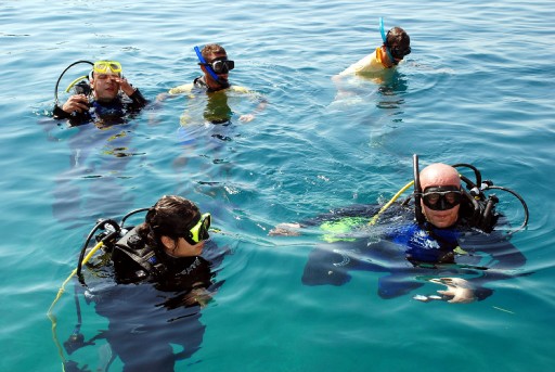 Serbest Dalış Şampiyonası Başladı