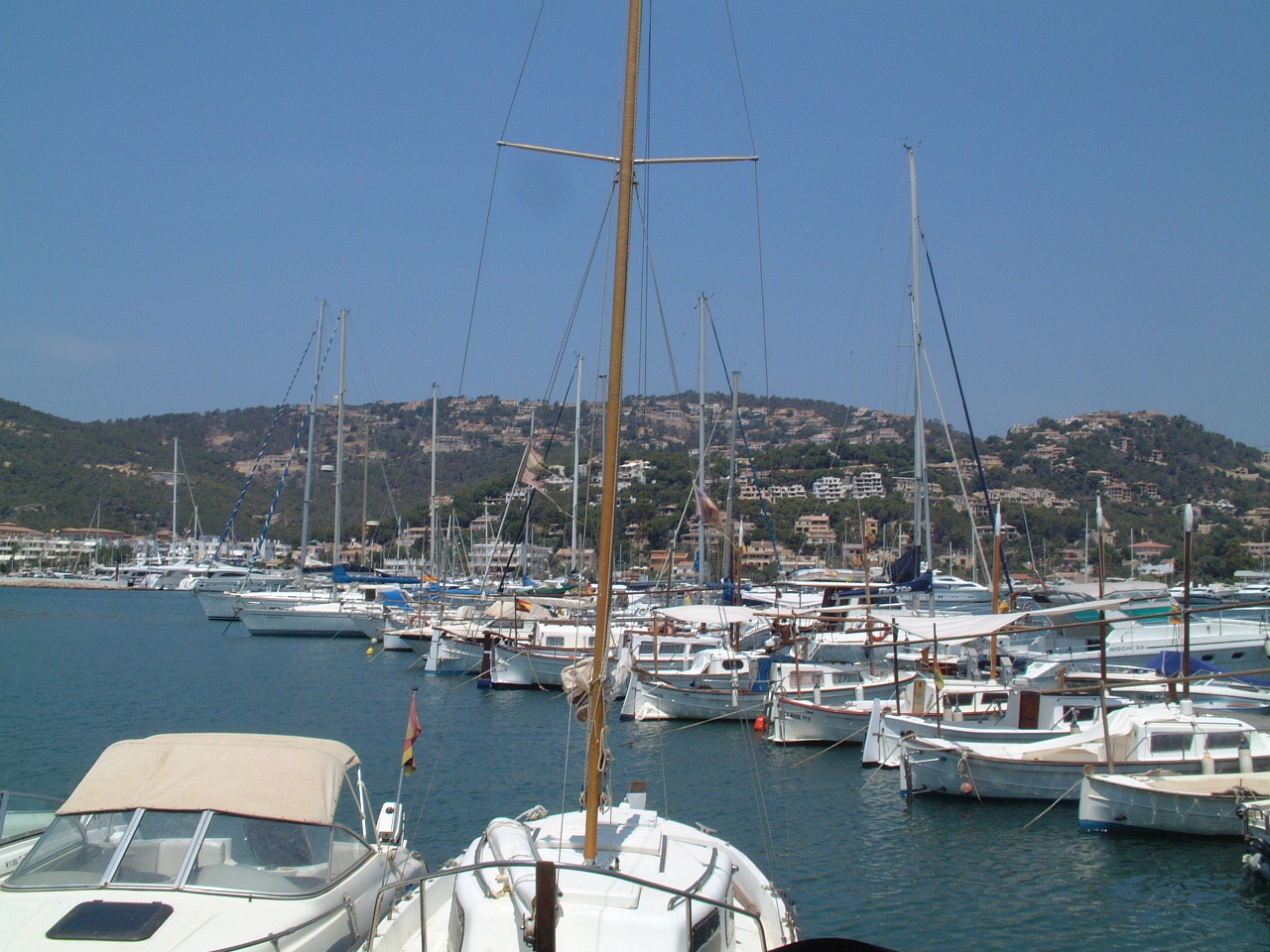 Denizcileri sevindiren gelişme