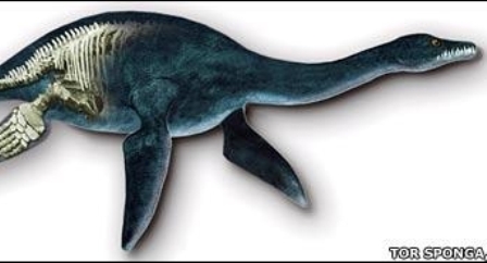 Denizde Terminatör Bulundu