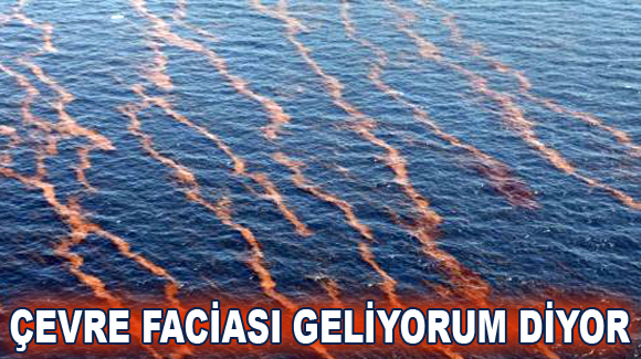 Deniz TV: Denizi Ateşe Verecekler!