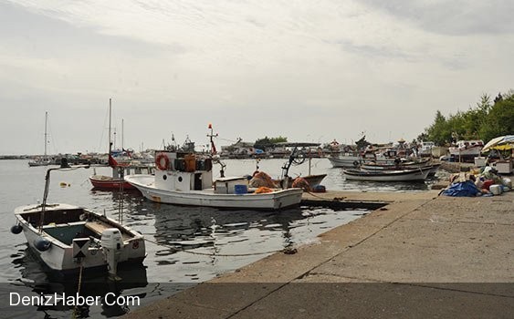 Denize Düşen Balıkçı Kurtarılamadı