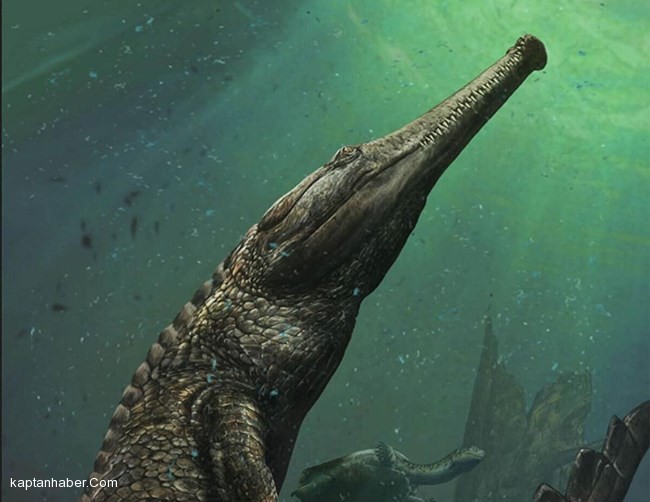 Dev Bir Deniz Timsahı Keşfedildi