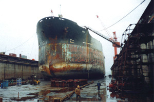 Denizcilik Sektörüne De Kredi Desteği Geldi