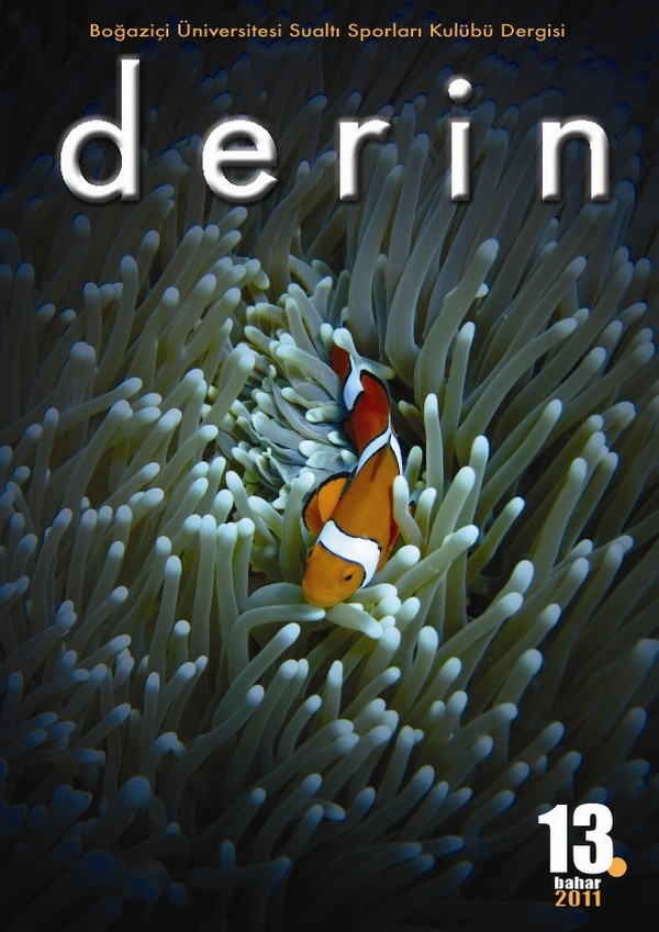 'Derin', Kapak Resmini Arıyor