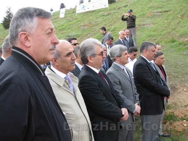 Denizin Mavisi,Ormanın Yeşiliyle Buluştu