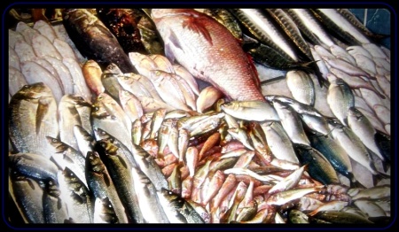 Deniz ürünlerinde ağır metallere rastlandı