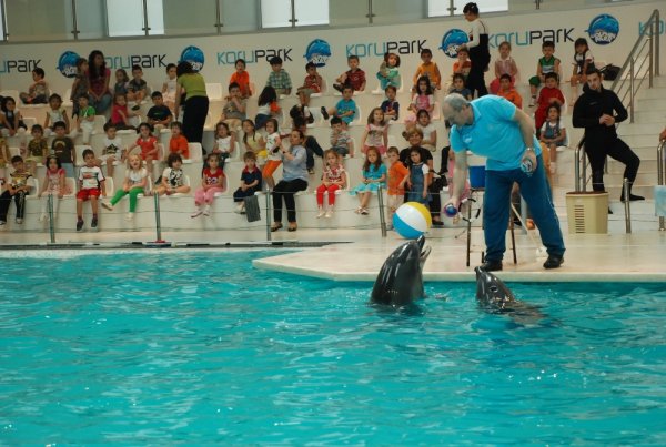 İki Yunus 10 Ayda, 102 bin Liralık Balık Yedi