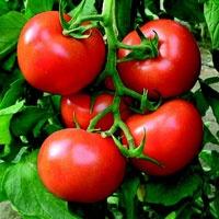 Meyve Sebze Pasaportla Satılacak