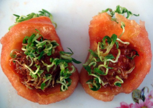 Manisa'da Yaş Sebze İçinde Şok