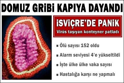 Domuz Gribi Kapımıza Dayandı