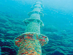 Deniz Tabanı Kablo Tamiratı Başladı