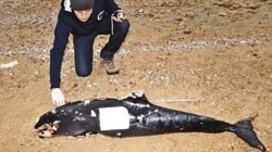 Güney Ege’de Bir İlk