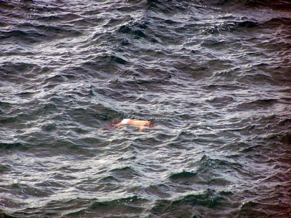 Kaçaklar meclis gündeminde