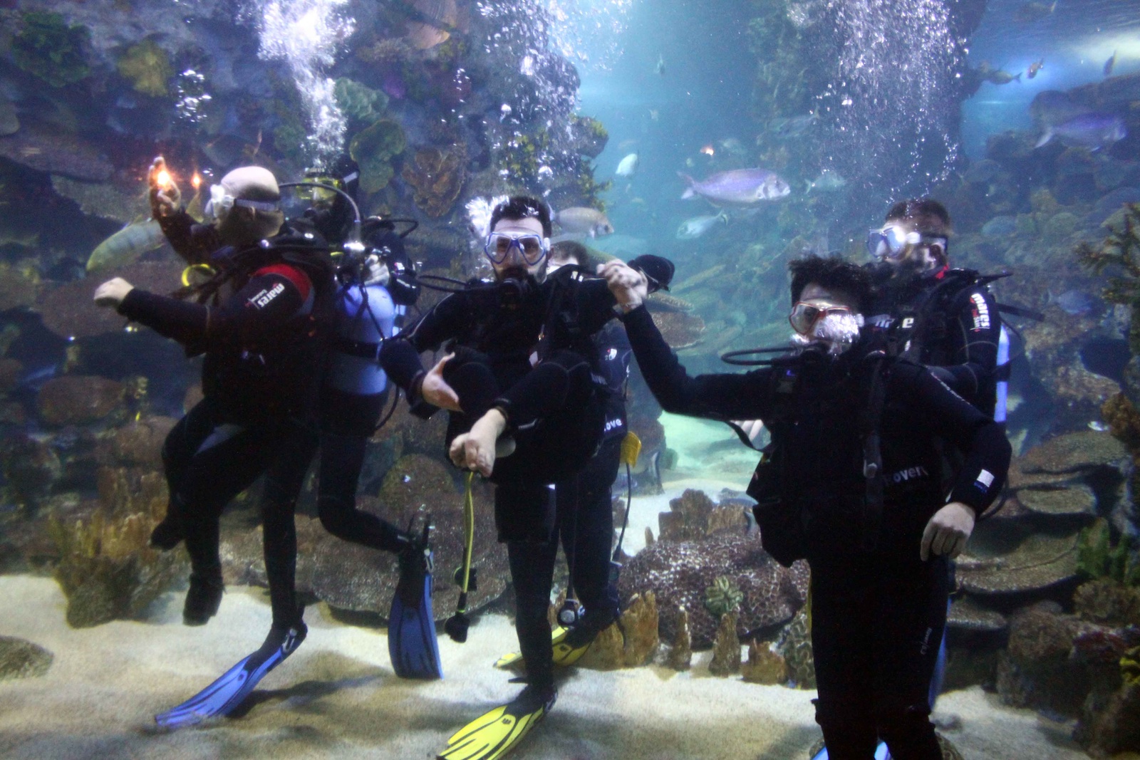 Sualtına inmek için engelleri aştılar...